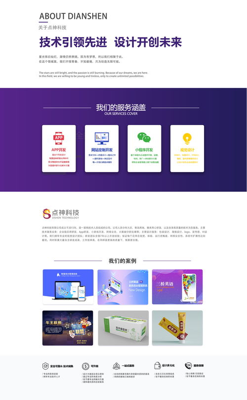 点神科技 大庆程序开发公司的企业网站建设与技术转让服务